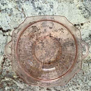 Mayfair Fair Open Rose